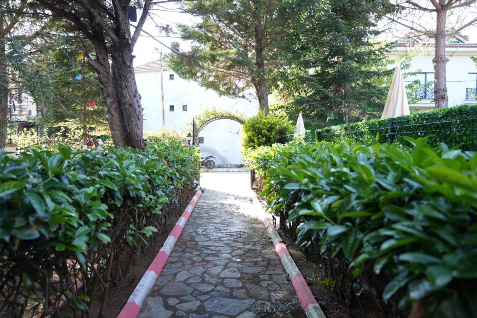 Butterfly Boutique Hotel Agva Ngoại thất bức ảnh